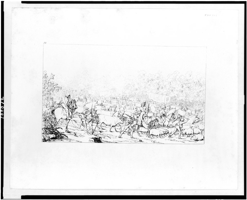 Soldiers herding cattle and pigs with Union army supply wagons in background LCCN90710025
