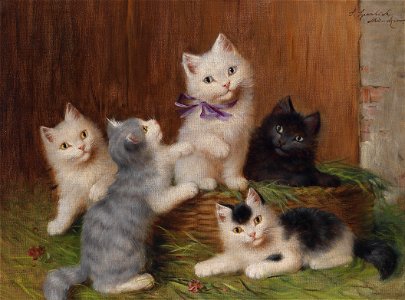 Sophie Sperlich Katzenkinder