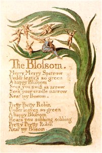 Songs of Innocence, copy B, 1789 (Library of Congress), object 28 The Blossom