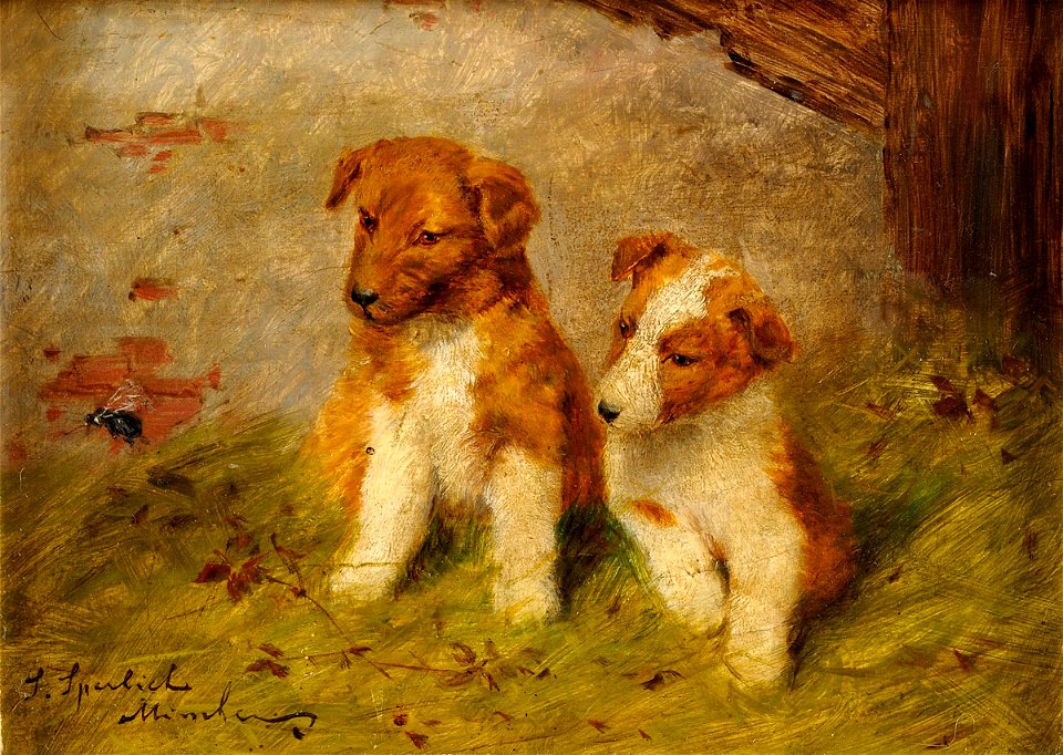 Sophie Sperlich Bernhardiner-Welpen