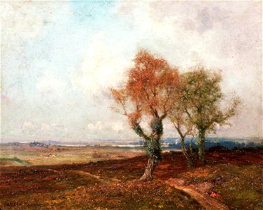 South Wales Landscape (gcf02234)