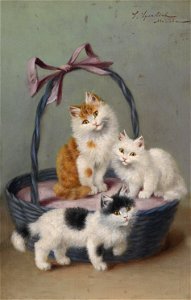 Sophie Sperlich Katzen im Korb