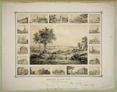 Souvenir of New York - On stone by C. Gildemeister ; drawn from nature by J. Barnes. LCCN2003688594