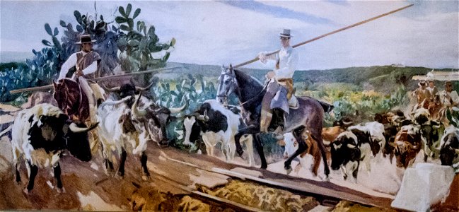 Sorolla-14