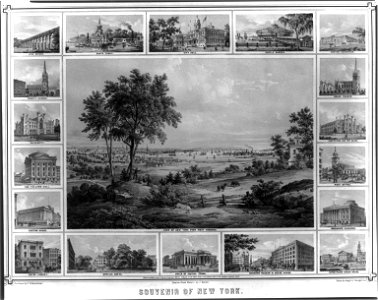 Souvenir of New York LCCN2003688594