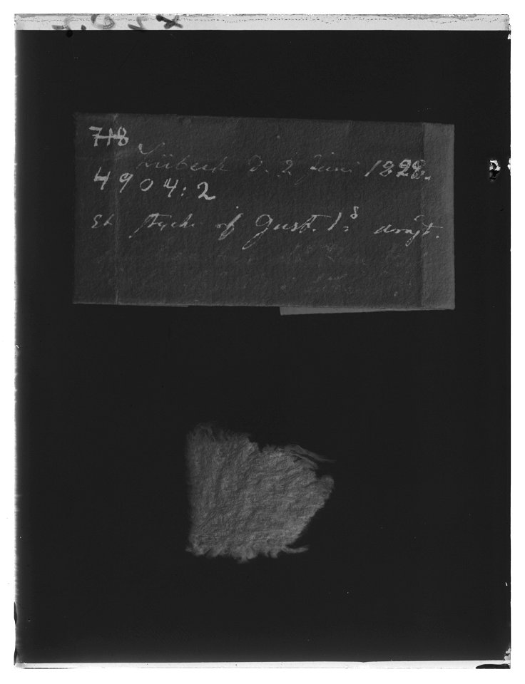 Souvenir - Livrustkammaren - 79652-negative