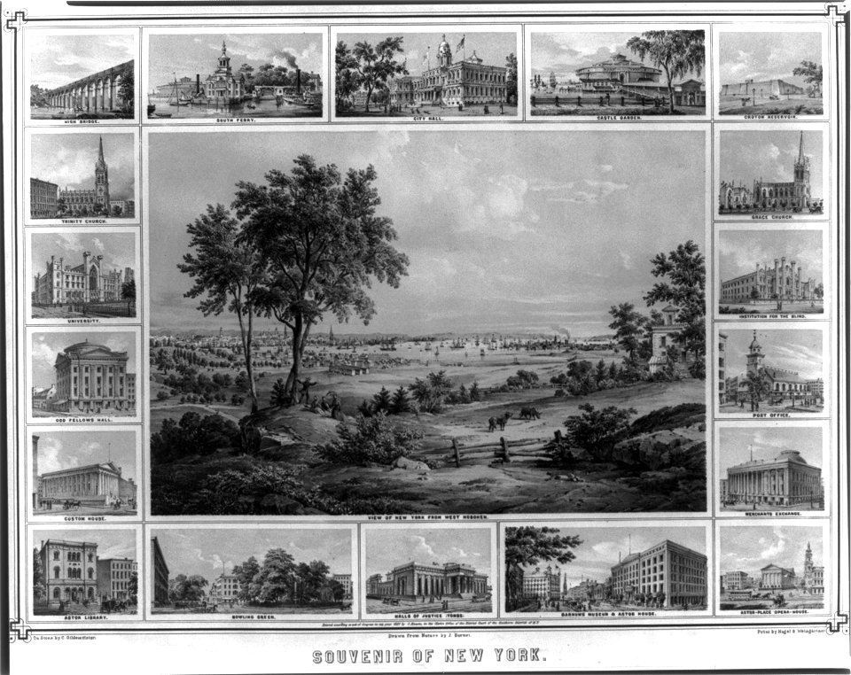 Souvenir of New York LCCN2003688594