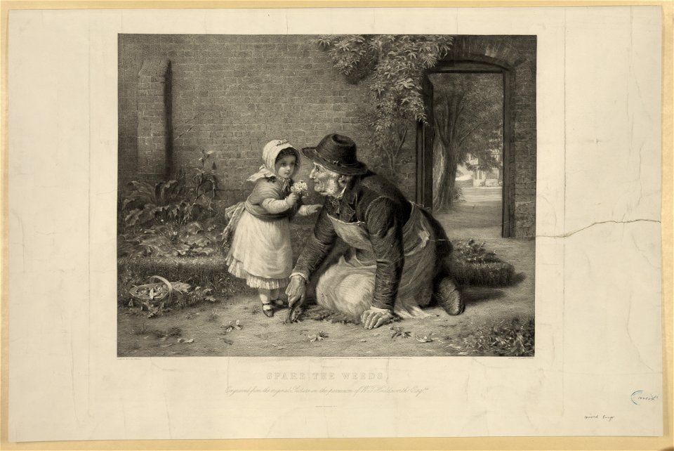 Spare the weeds - engraved by Arthur Turrell. LCCN2006683735