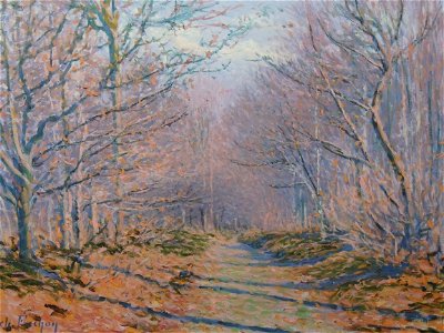 Sous-bois en automne (Frechon)