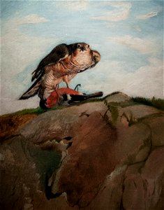 Sparrow Hawk Seizing a Bullfinch, 1893