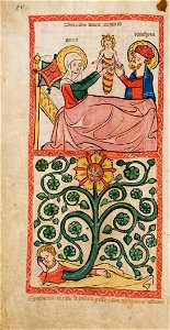 Speculum Darmstadt 2505 08v