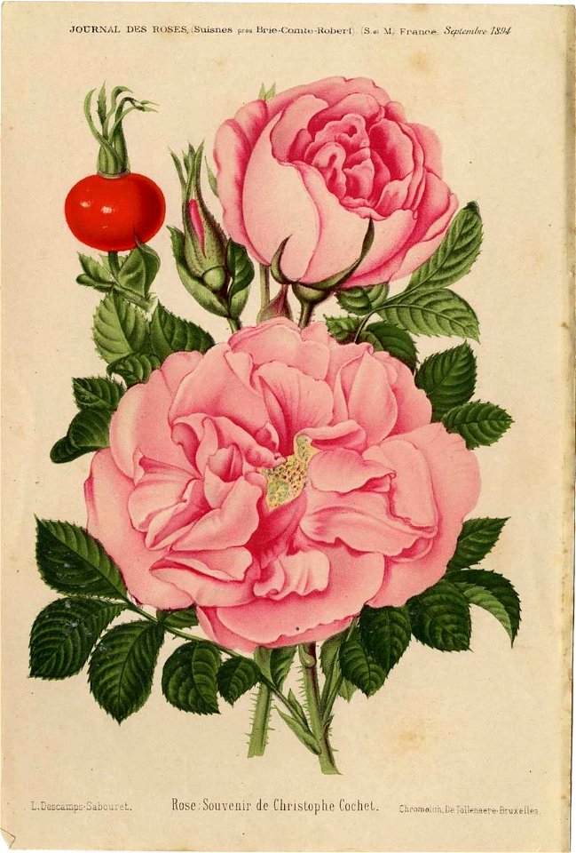 Souvenir de Christophe Cochet