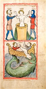 Speculum Darmstadt 2505 51r