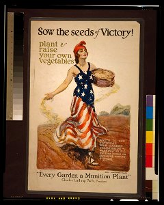 Sow the seeds of victory! Plant & raise your own vegetables - James Montgomery Flagg. LCCN2002712333