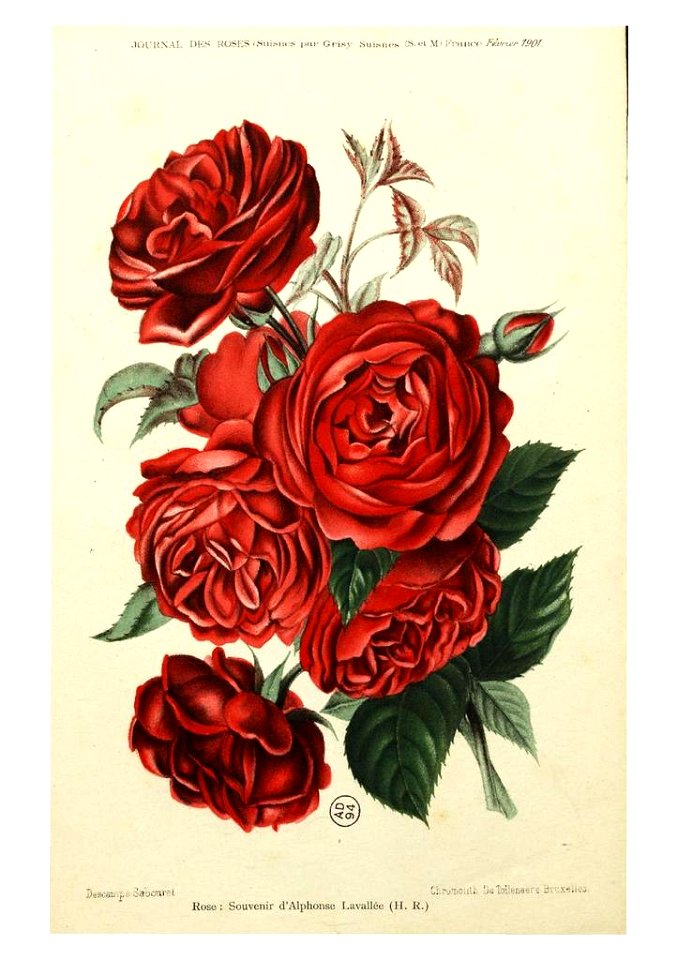 Souvenir d'Alphonse Lavallée