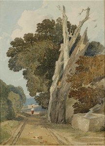Spanish Chestnut Tree, Struck by Lightning by John Sell Cotman