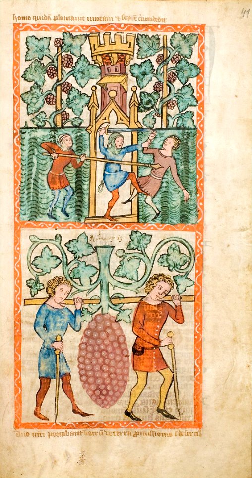 Speculum Darmstadt 2505 41r