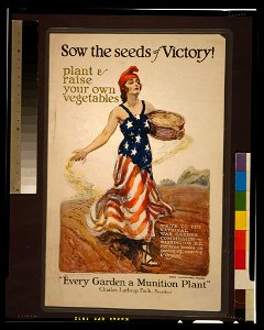 Sow the seeds of victory! Plant & raise your own vegetables - James Montgomery Flagg. LCCN2002712333
