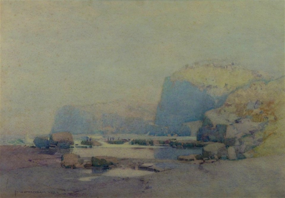 South coast rock platform with penguins 1922