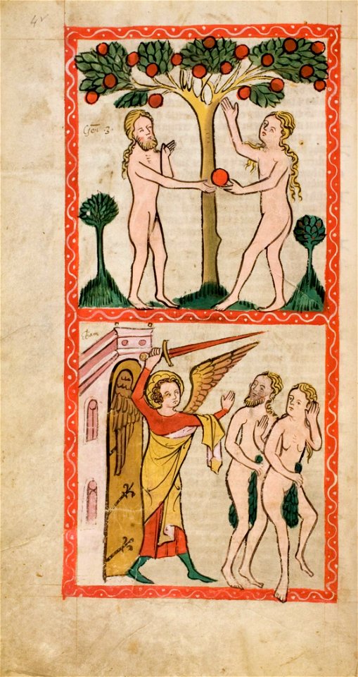 Speculum Darmstadt 2505 04v