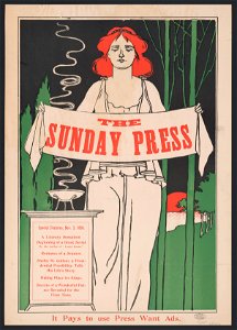 Special features, Nov. 3, 1895. LCCN2014647799