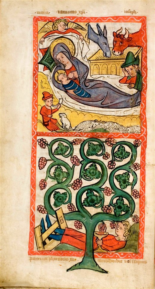 Speculum Darmstadt 2505 16v