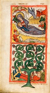 Speculum Darmstadt 2505 16v