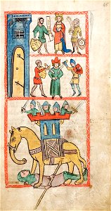 Speculum Darmstadt 2505 45r
