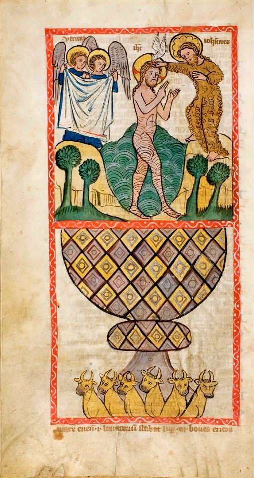 Speculum Darmstadt 2505 24v
