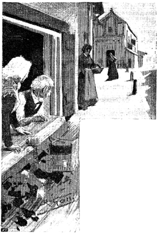 Speraz - Emma Walder (page 146 crop)
