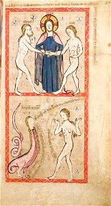 Speculum Darmstadt 2505 03r