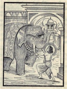 Srikrishna kills Elephant of Kamsa