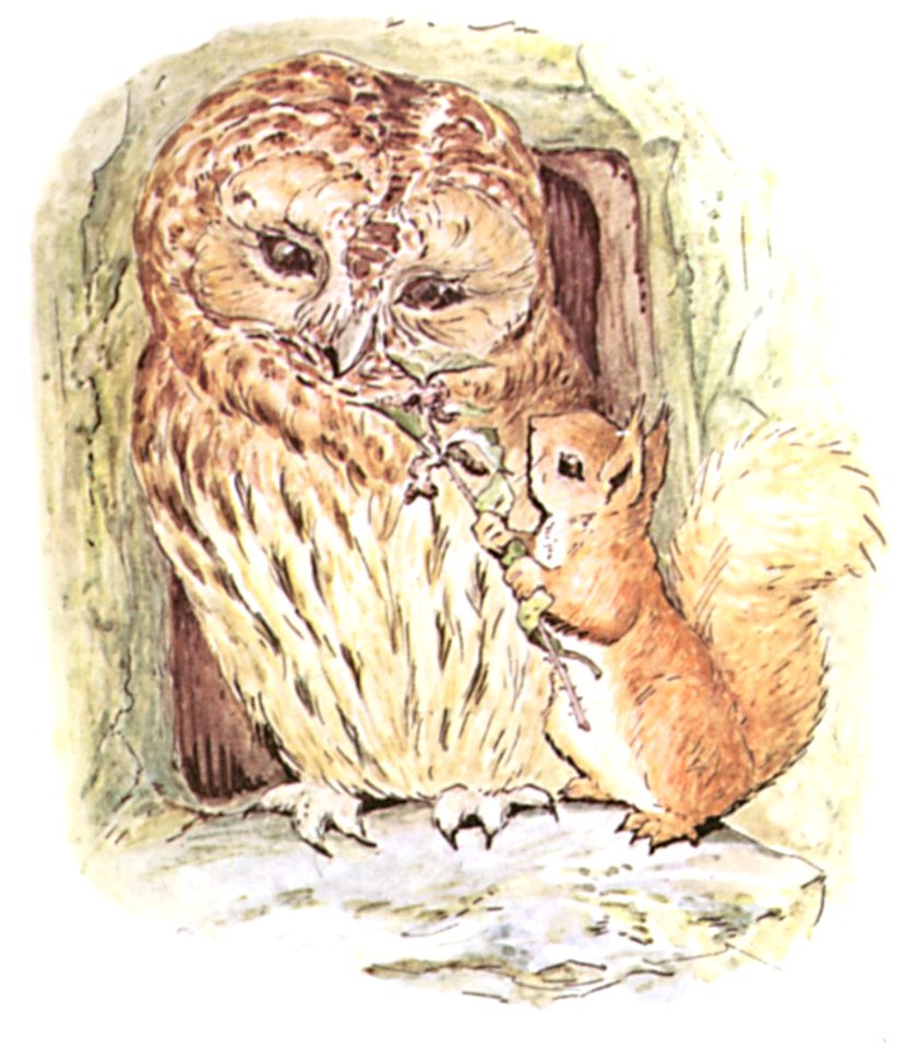 Squirrel Nutkin Mr Brown