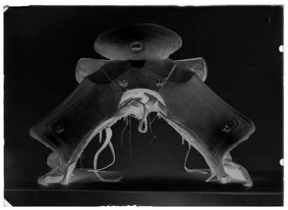 Spärrsadel - Livrustkammaren - 17429-negative
