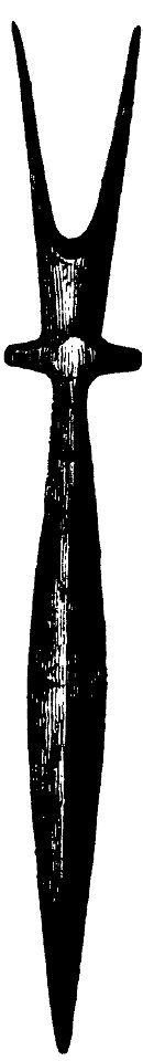 Spjut från Vislanda socken Hyltén-Cavallius Wärend och Wirdarne (1868) s231