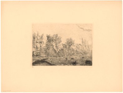 Squall at the Edge of the Wood, print by James Ensor, 1888, Prints Department, Royal Library of Belgium, S. V 84408