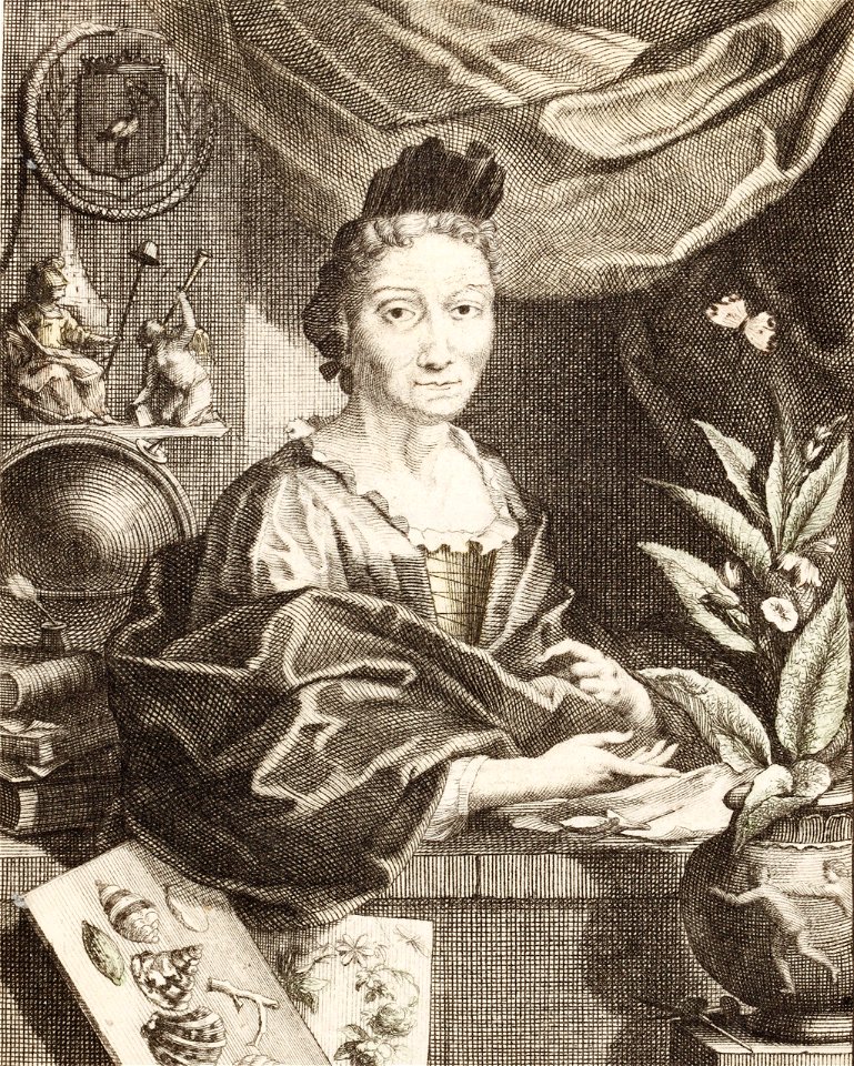 St presse merian houbraken portrait-merian 1717