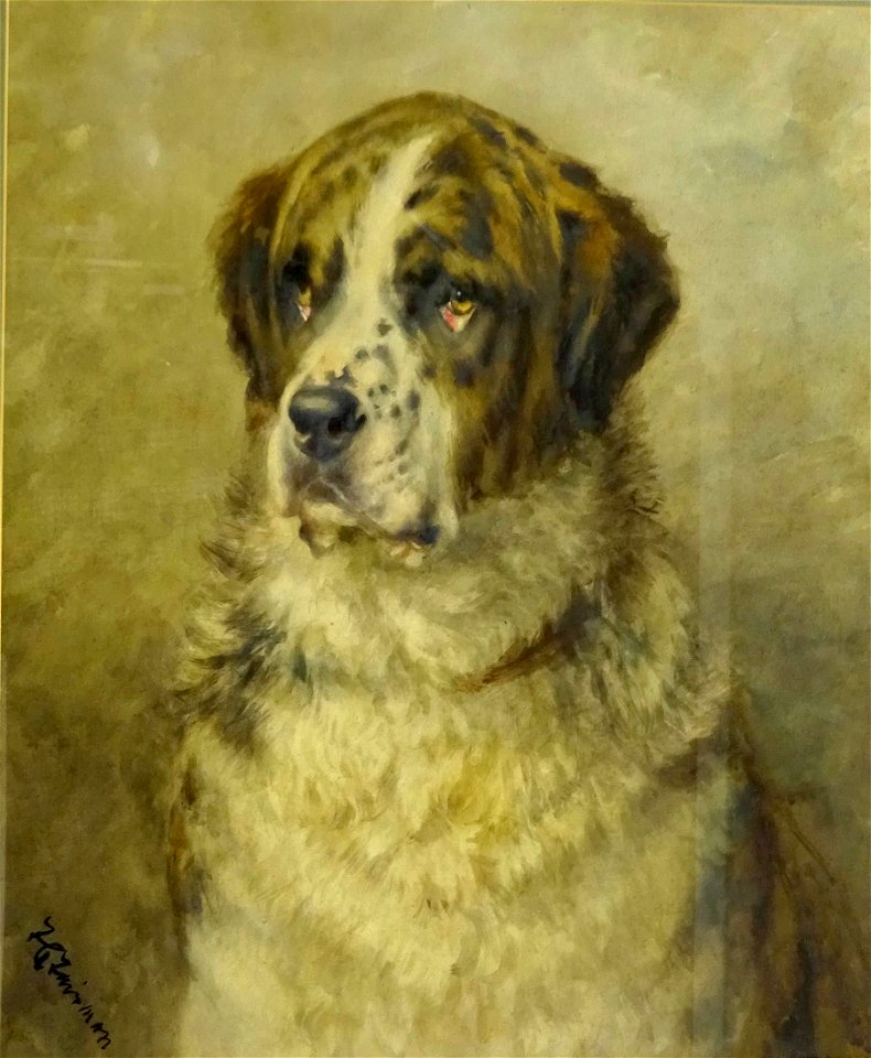 St Bernard by Frances C. Fairman