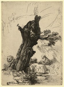 St. Jerome beside a pollard willow) - Rembrandt LCCN2008675447
