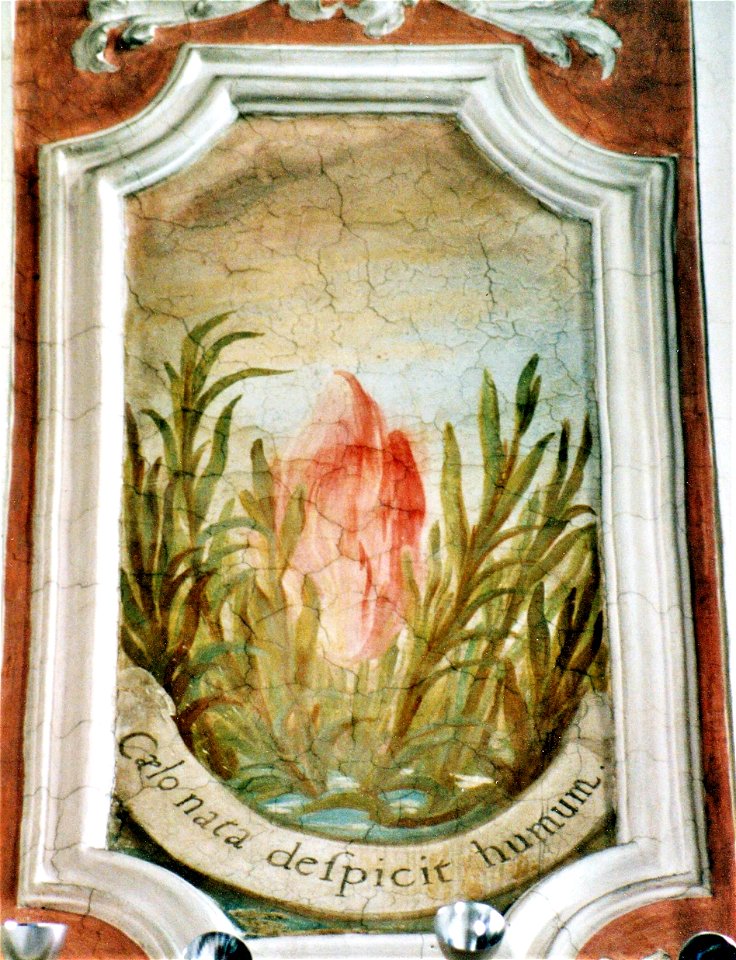 St. Jakobus (Ensdorf) 31