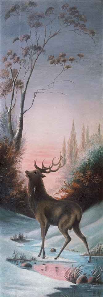 Stag in snowy landscape