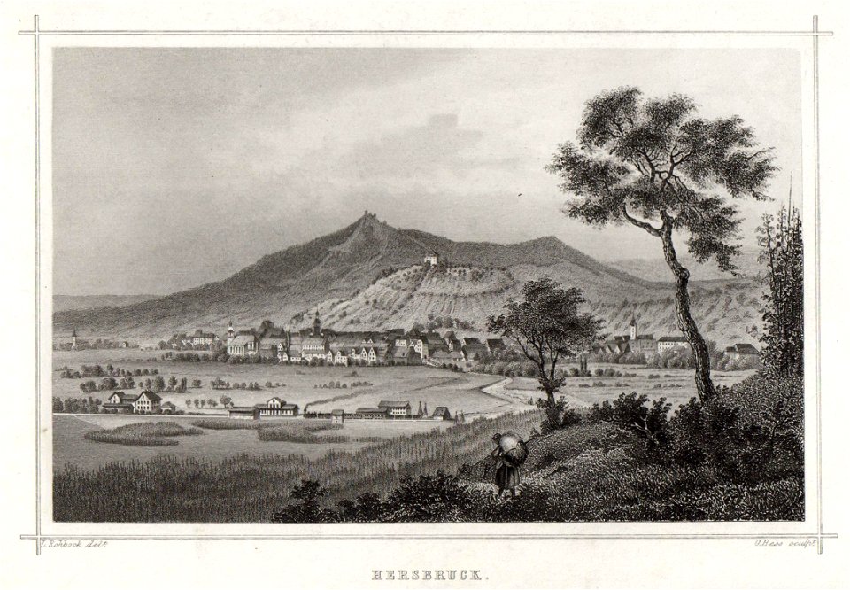 Stahlstich - Hersbruck - Rohbock - um 1860