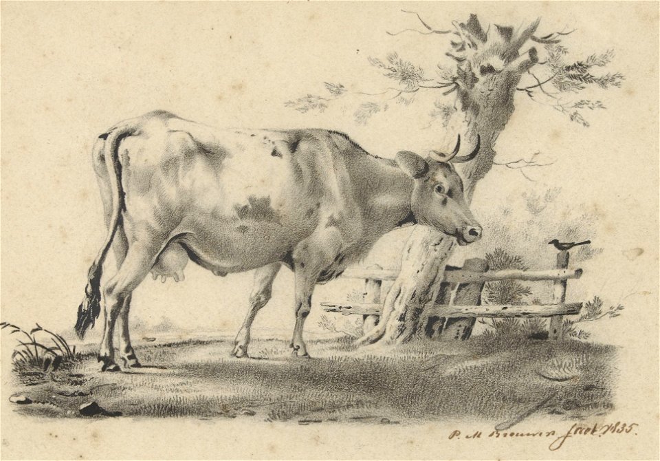 Staande koe door Petrus Marius Brouwer (1819-1886) (cropped)