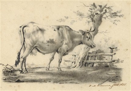 Staande koe door Petrus Marius Brouwer (1819-1886) (cropped)