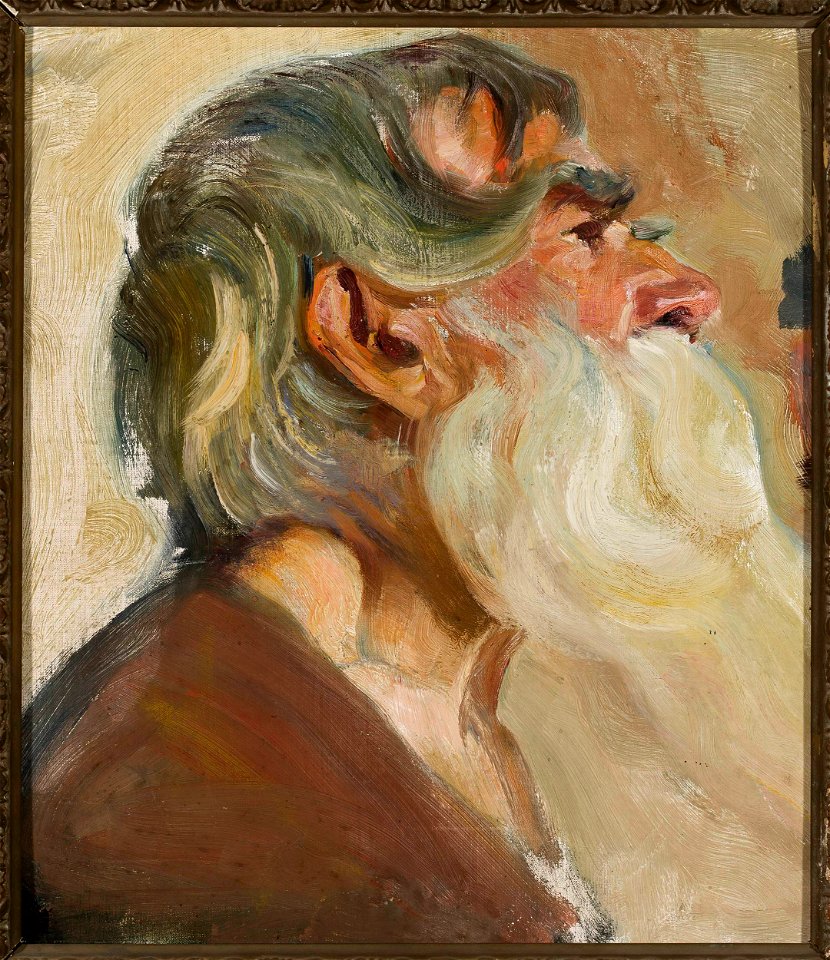 Stanisław Dębicki - Old man with grey beard - MP 1087 MNW - National Museum in Warsaw