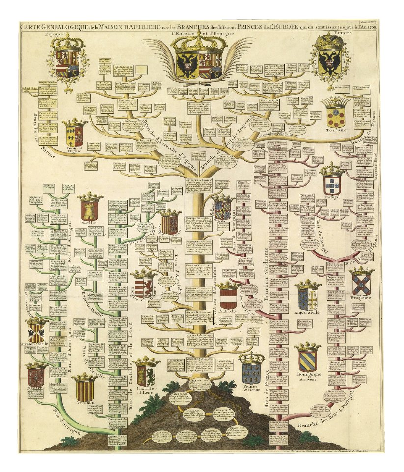 Stammbaum Haus Habsburg 1708