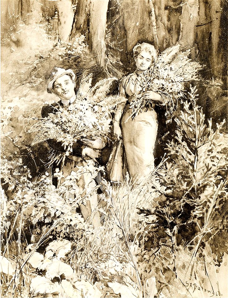 Stanisław Batowski-Kaczor - Zbieranie paproci
