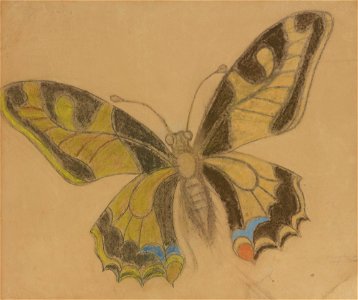 Stanisław Wyspiański - Butterfly (Old World Swallowtail) - MNK III-r.a-207 - National Museum Kraków