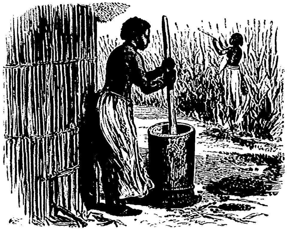 Stanley - Comment j'ai retrouvé Livingstone, trad Loreau, 1884 (page 99 crop)