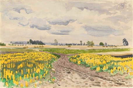 Stanisław Masłowski (1853-1926, Łubin - Droga polna (Lupin - A Cart way), watercolor on paper, 1909